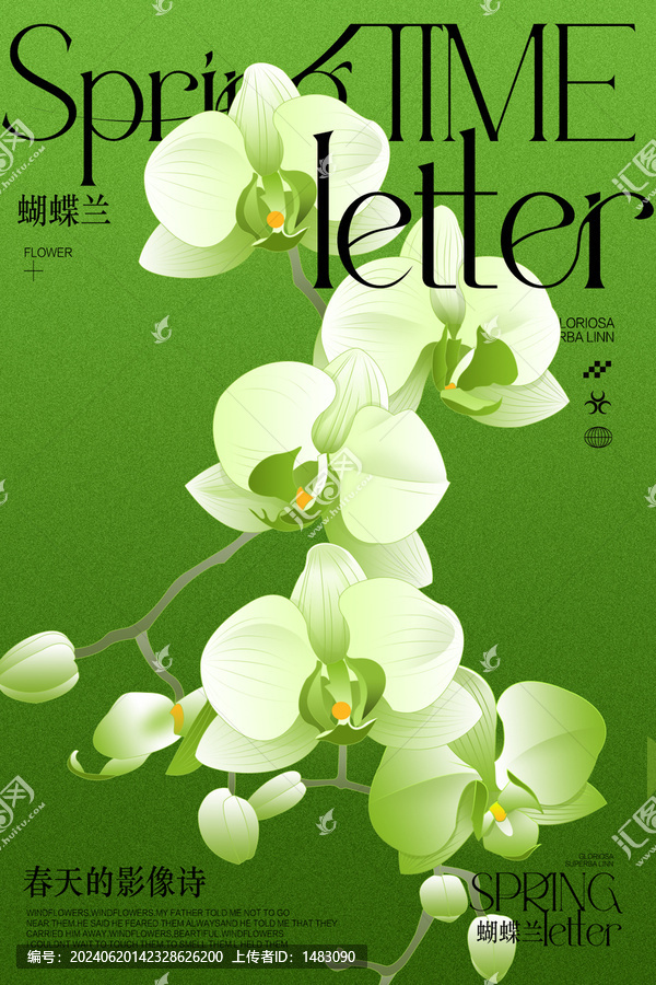 蝴蝶蘭