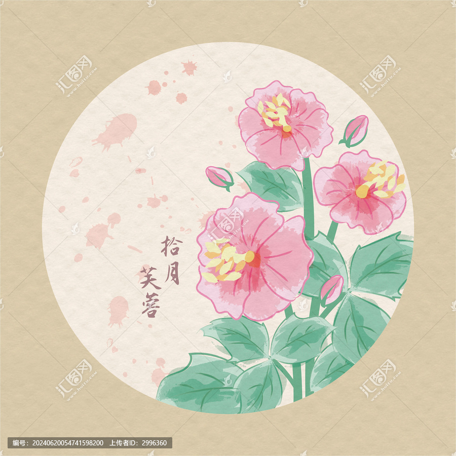 十二月時令花之芙蓉花