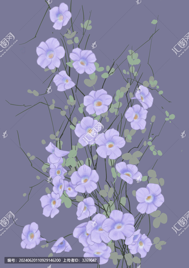 紫色喇叭花