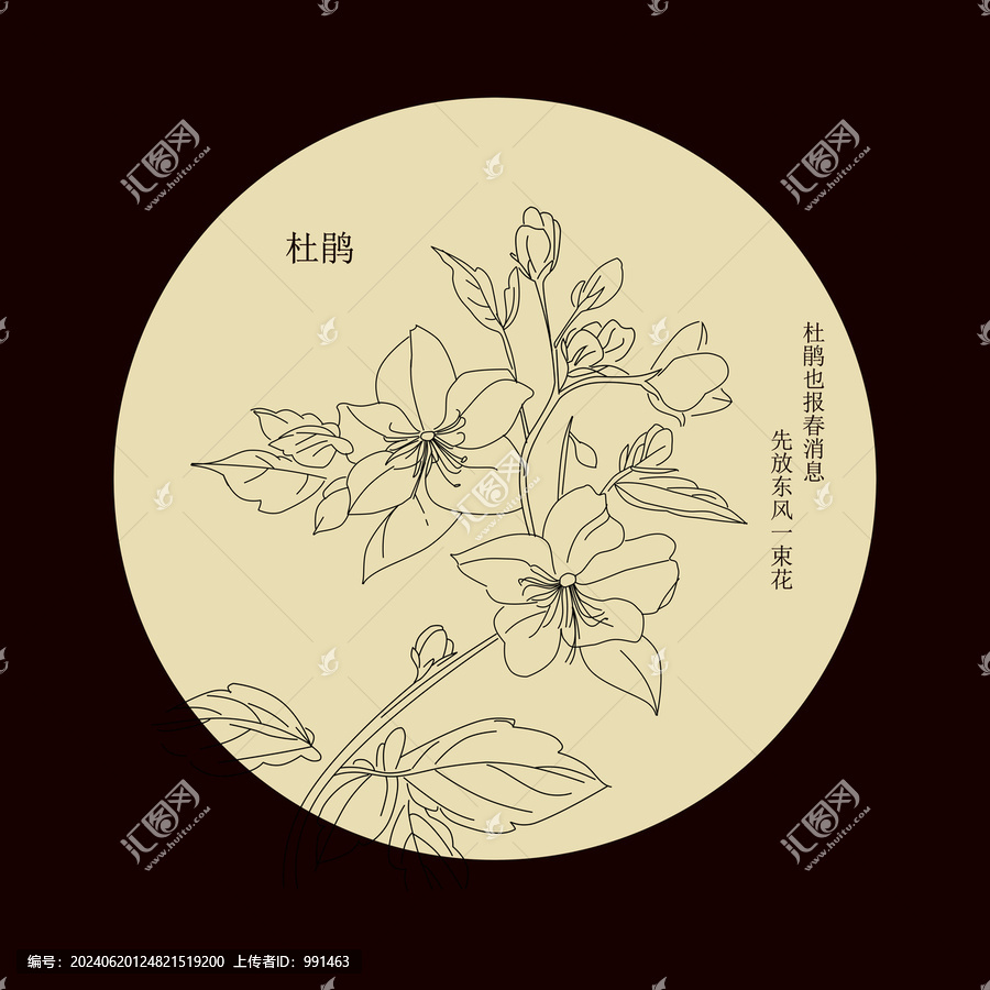 杜鵑