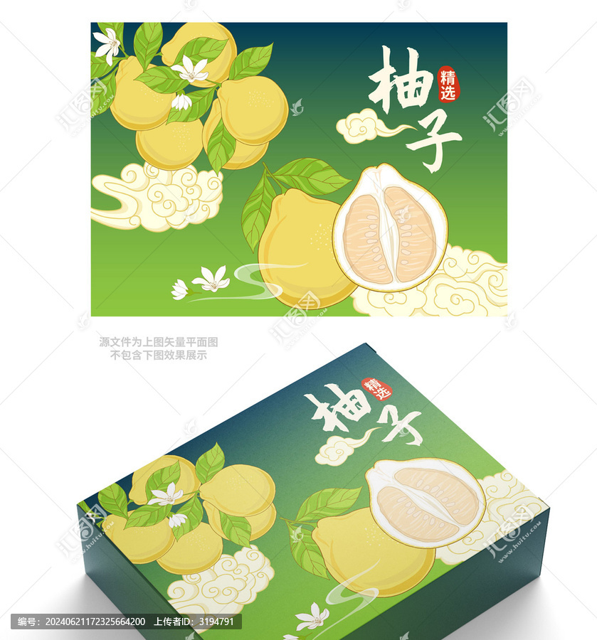 柚子包裝矢量插畫