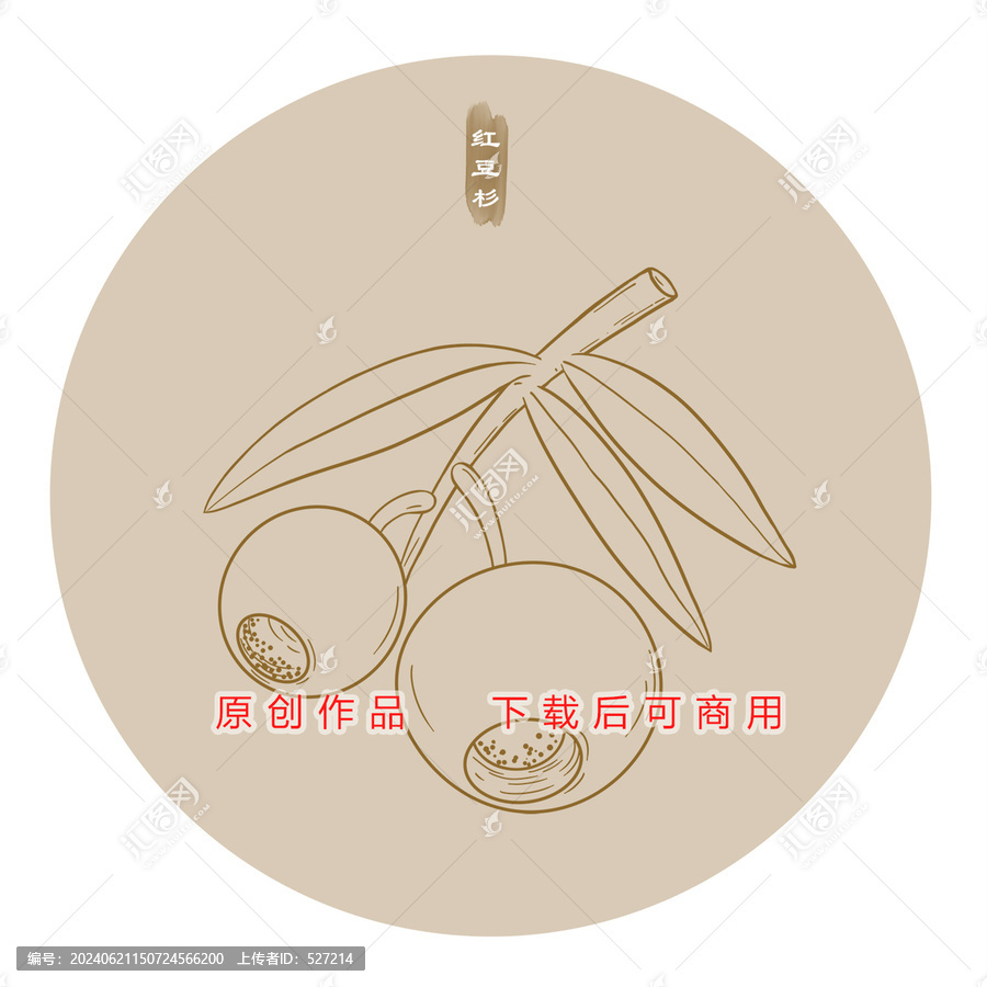 線描紅豆杉