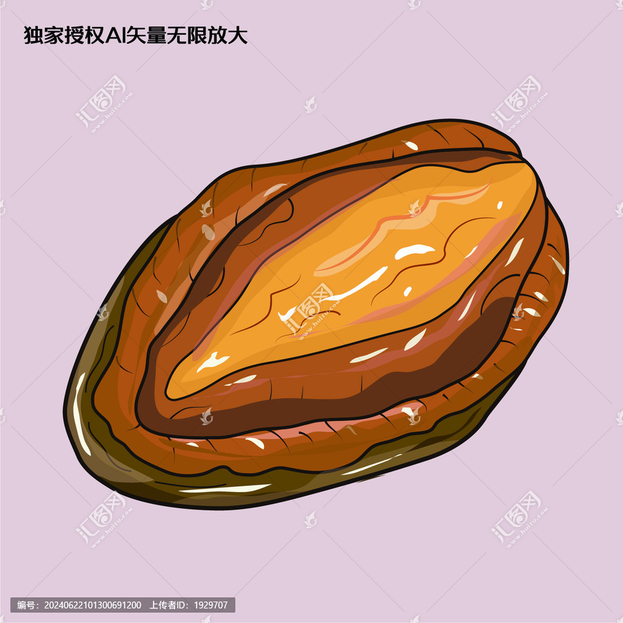 手繪鮑魚插畫