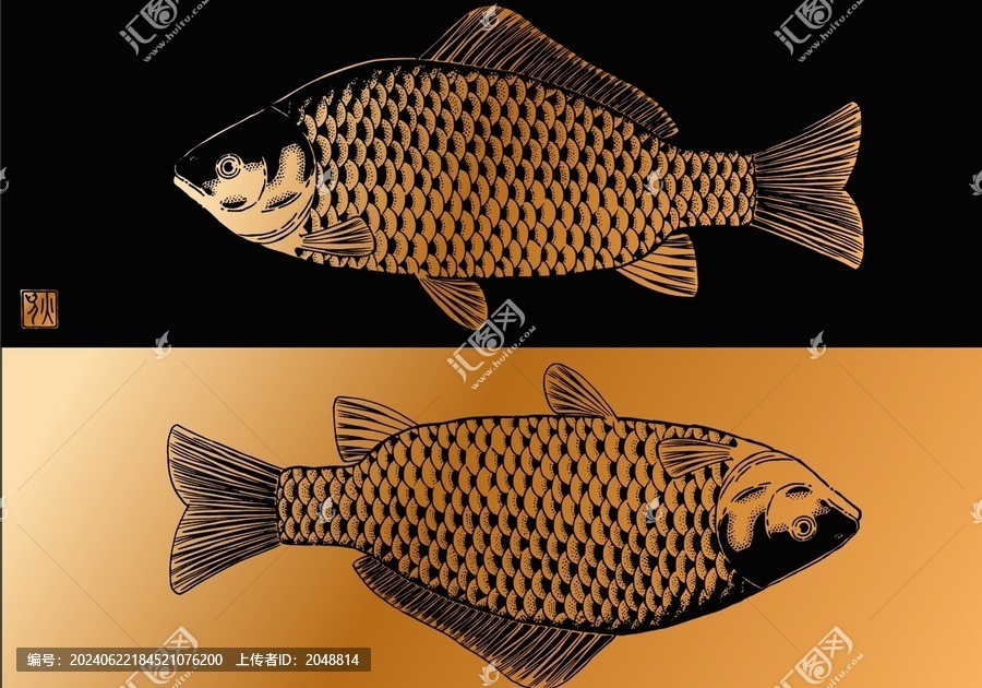 鯽魚插畫