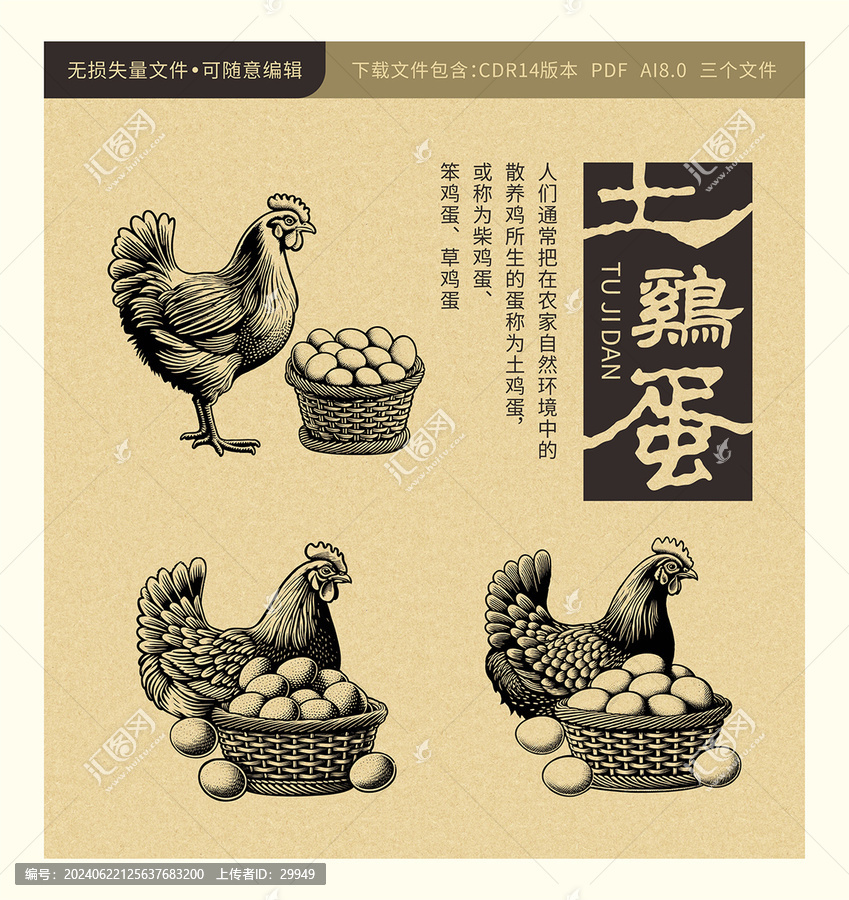 土雞蛋素材