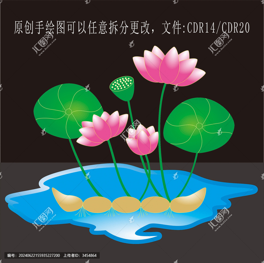 荷花蓮藕