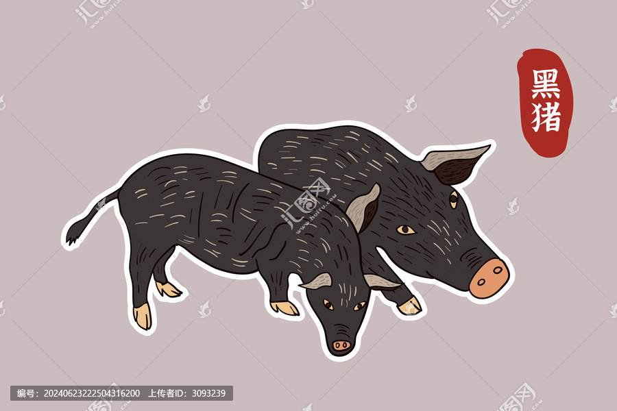 黑豬插畫