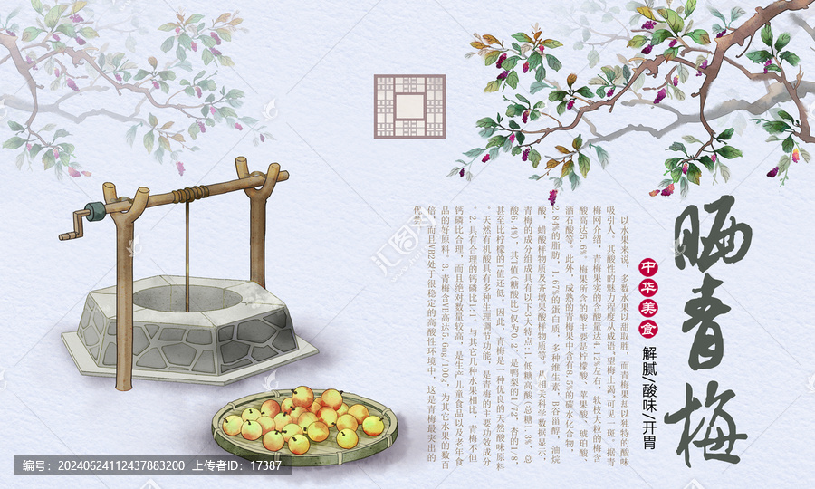 曬青梅插畫(huà)
