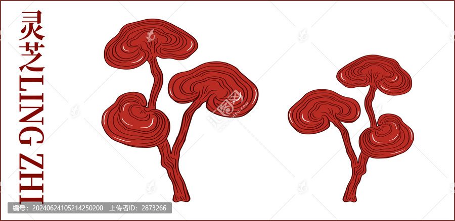 靈芝插畫