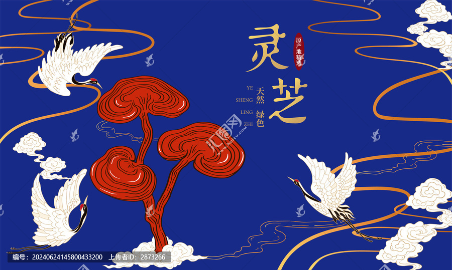 靈芝包裝插畫
