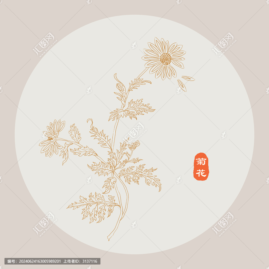 菊花線描