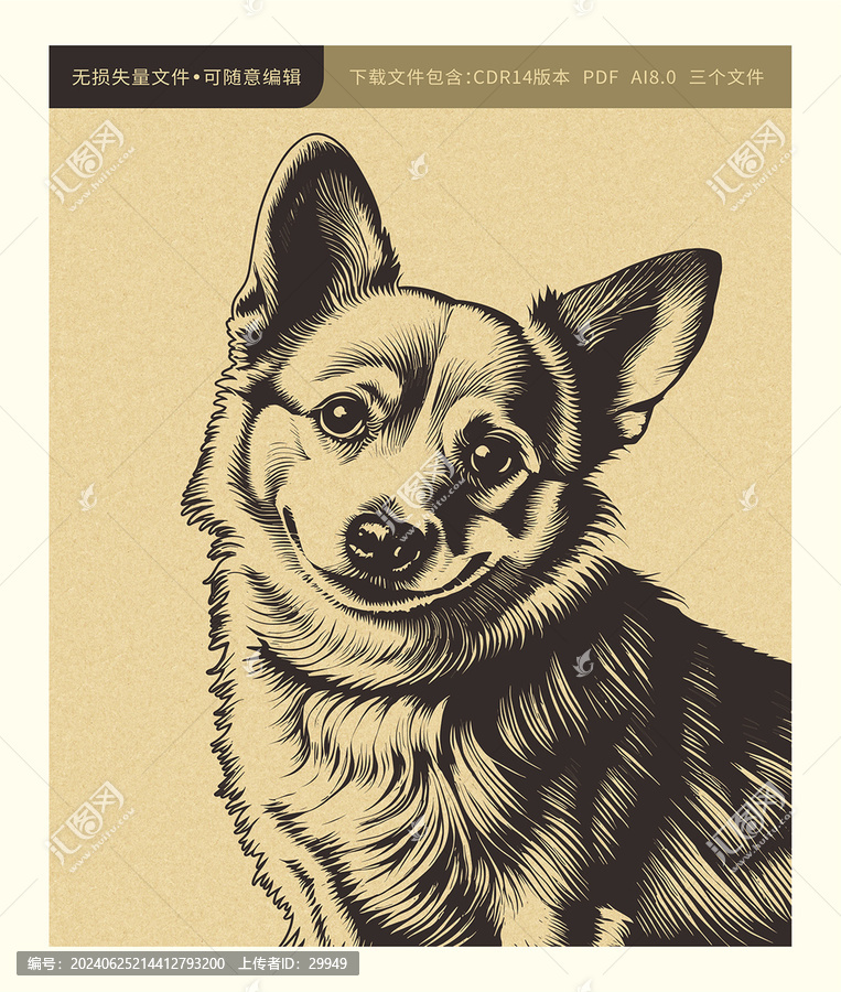 寵物狗素材