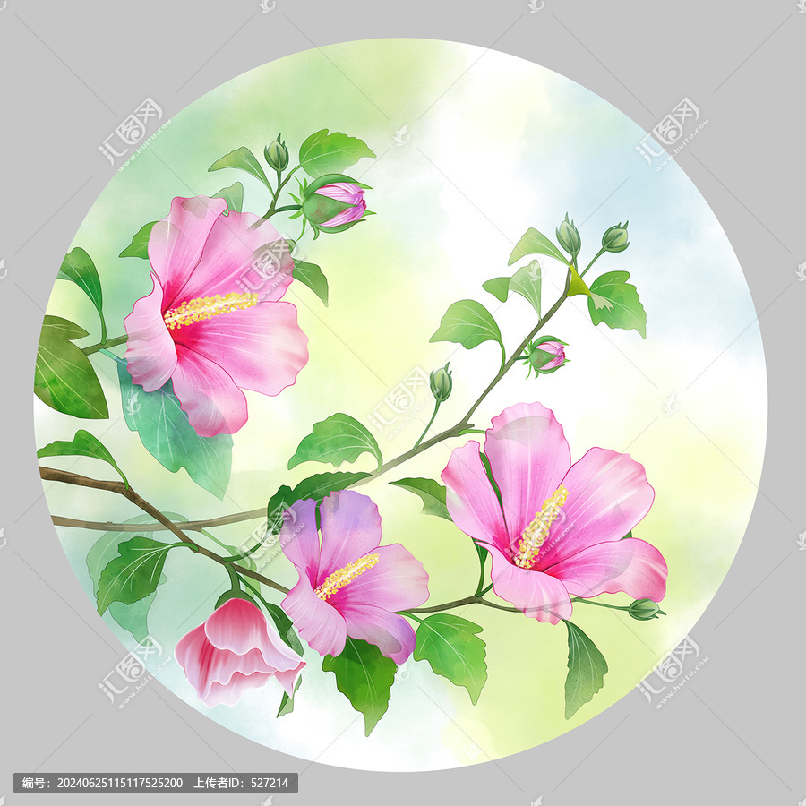 水彩木槿花