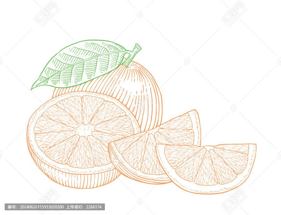 橙子