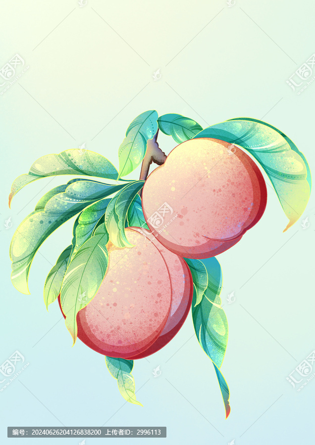 國(guó)潮水蜜桃插畫(huà)