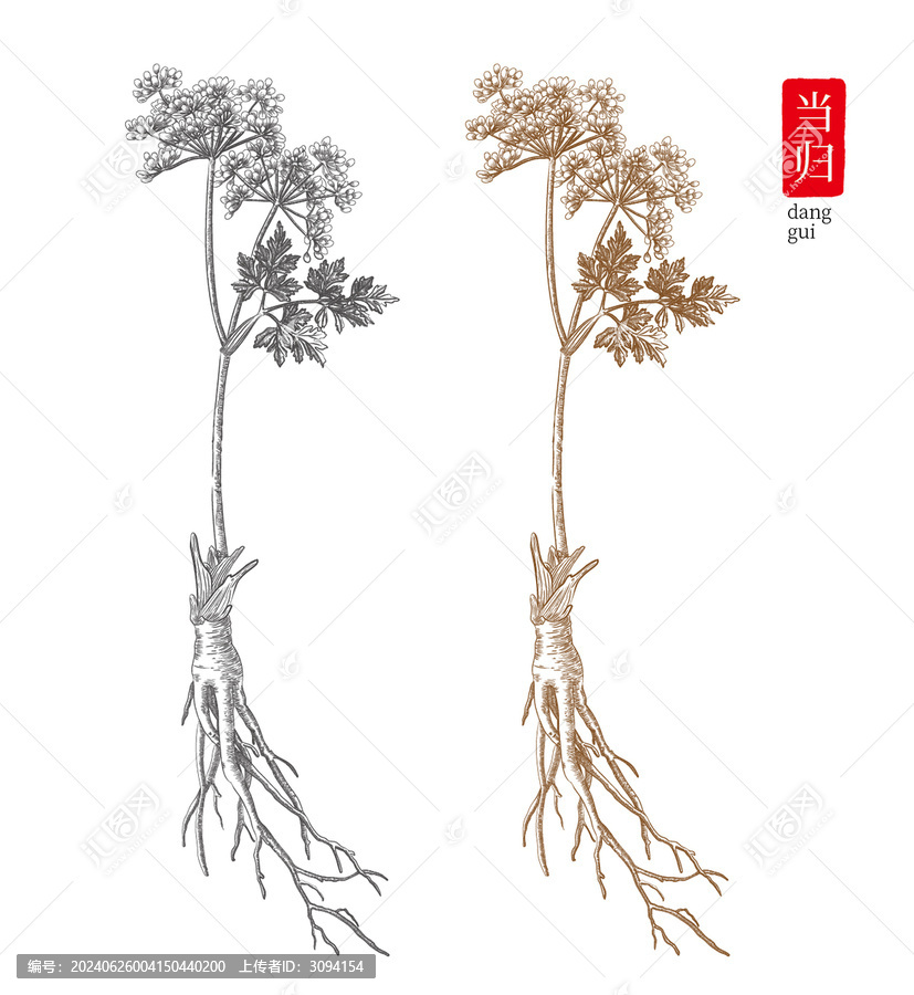 當(dāng)歸