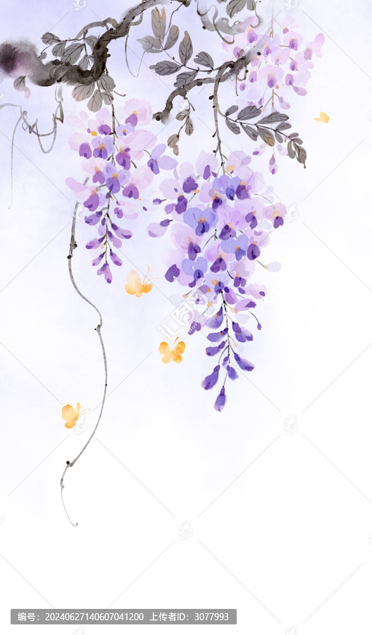 紫藤花