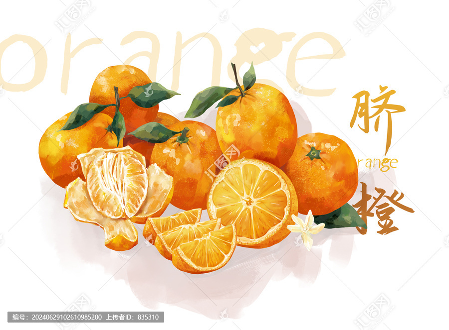 原創(chuàng)橙子臍橙包裝插畫
