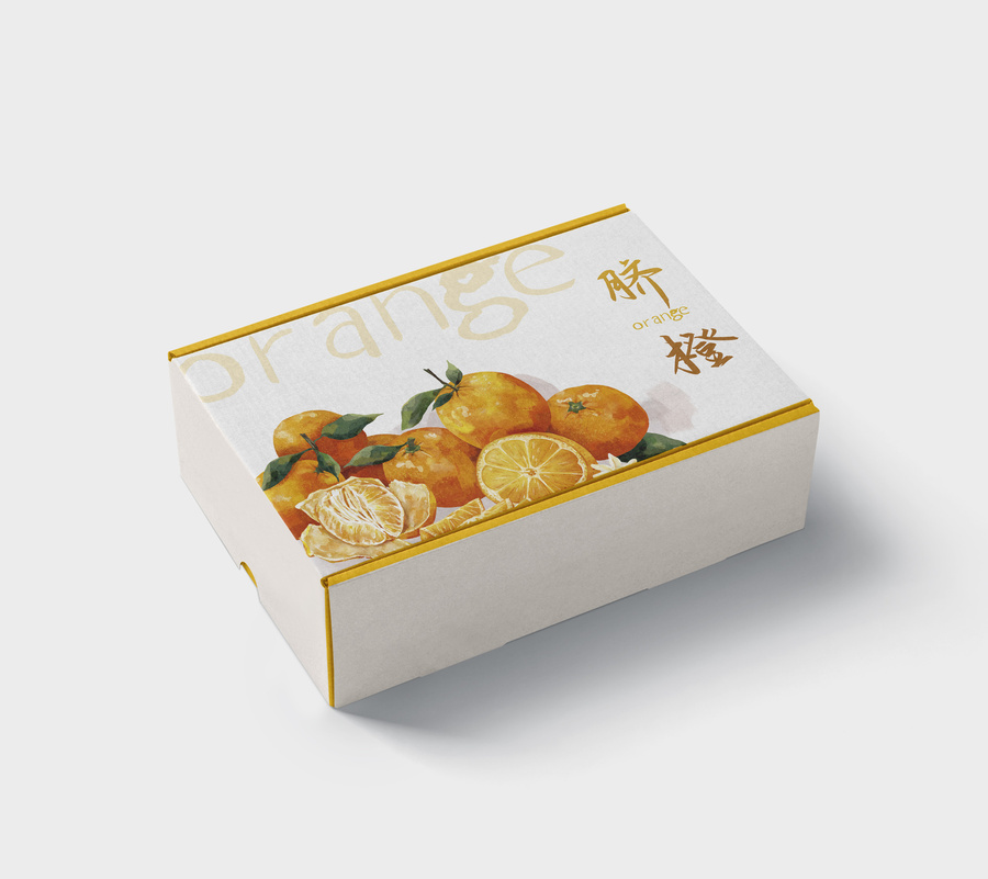 原創(chuàng)橙子臍橙包裝插畫