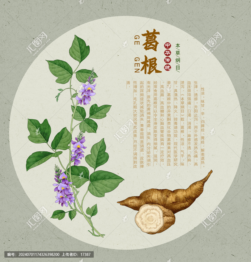 葛根