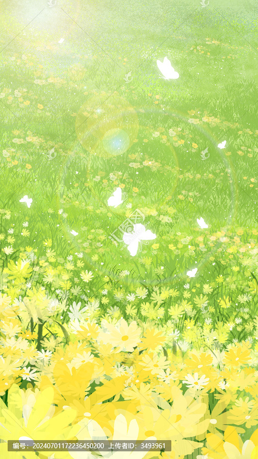 夏天野花盛開的草原山坡