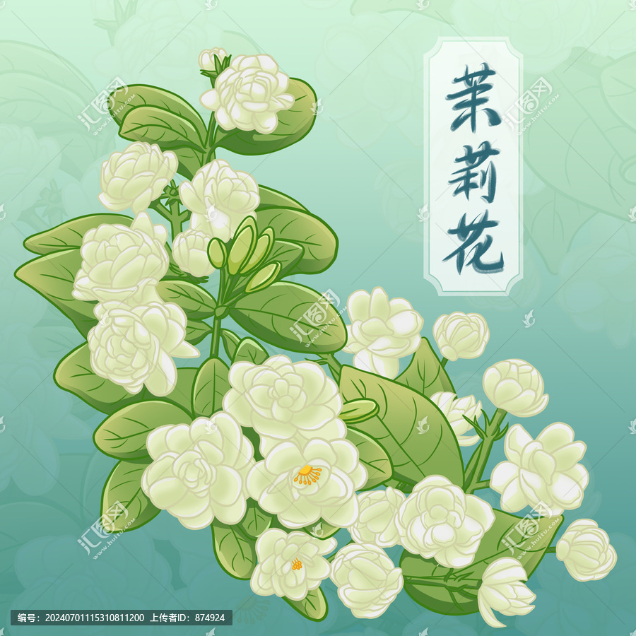 手繪茉莉花