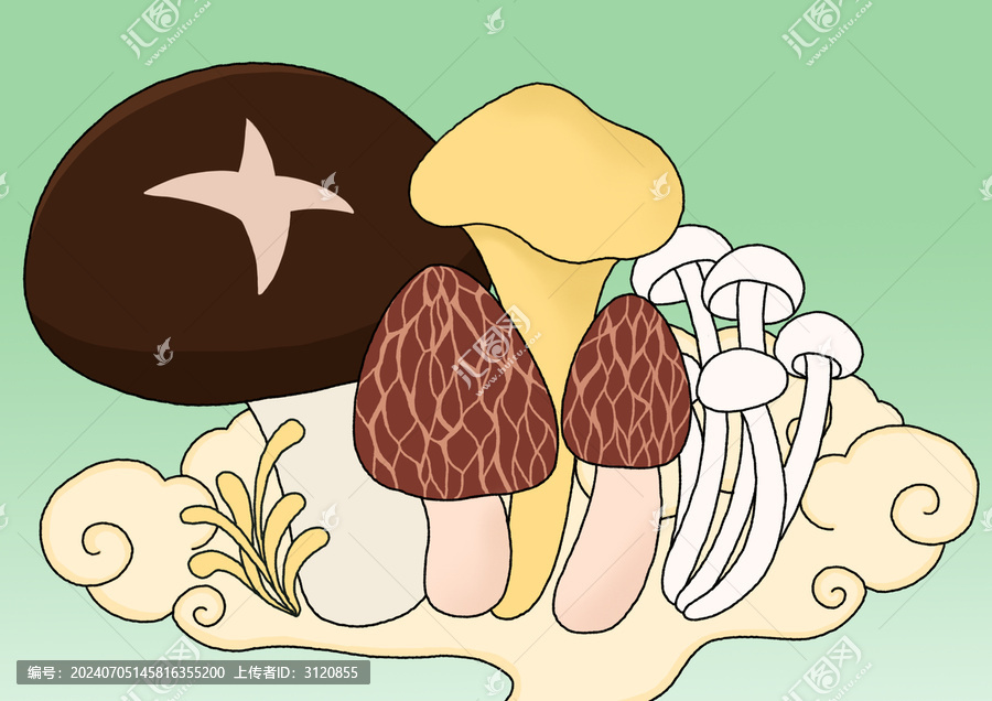 菌子國潮包裝插畫