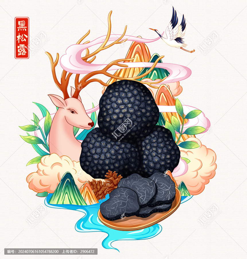黑松露插畫(huà)