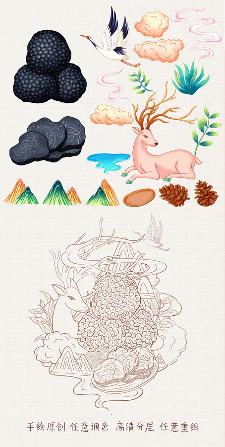 黑松露插畫(huà)