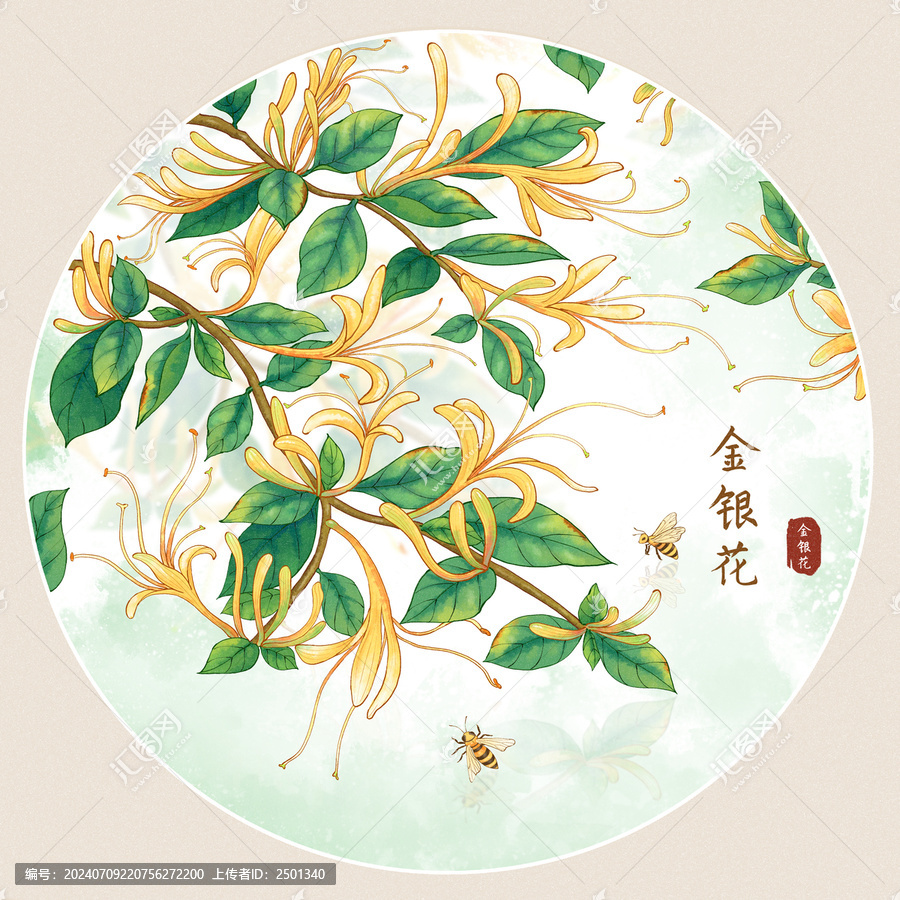 原創(chuàng)手繪水彩風金銀花插畫