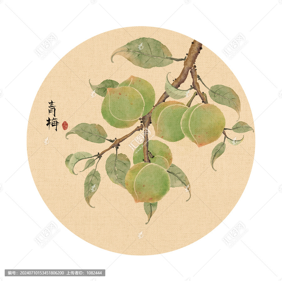 青梅插畫
