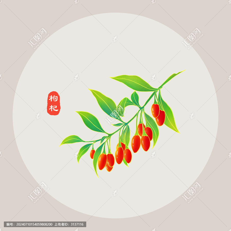 枸杞