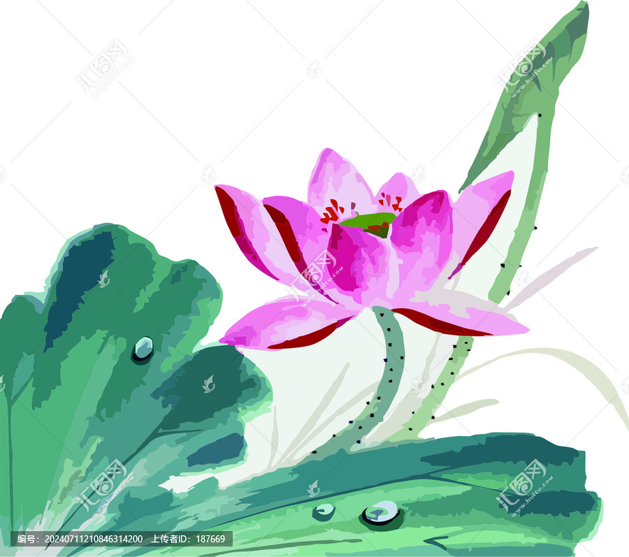 手繪荷花