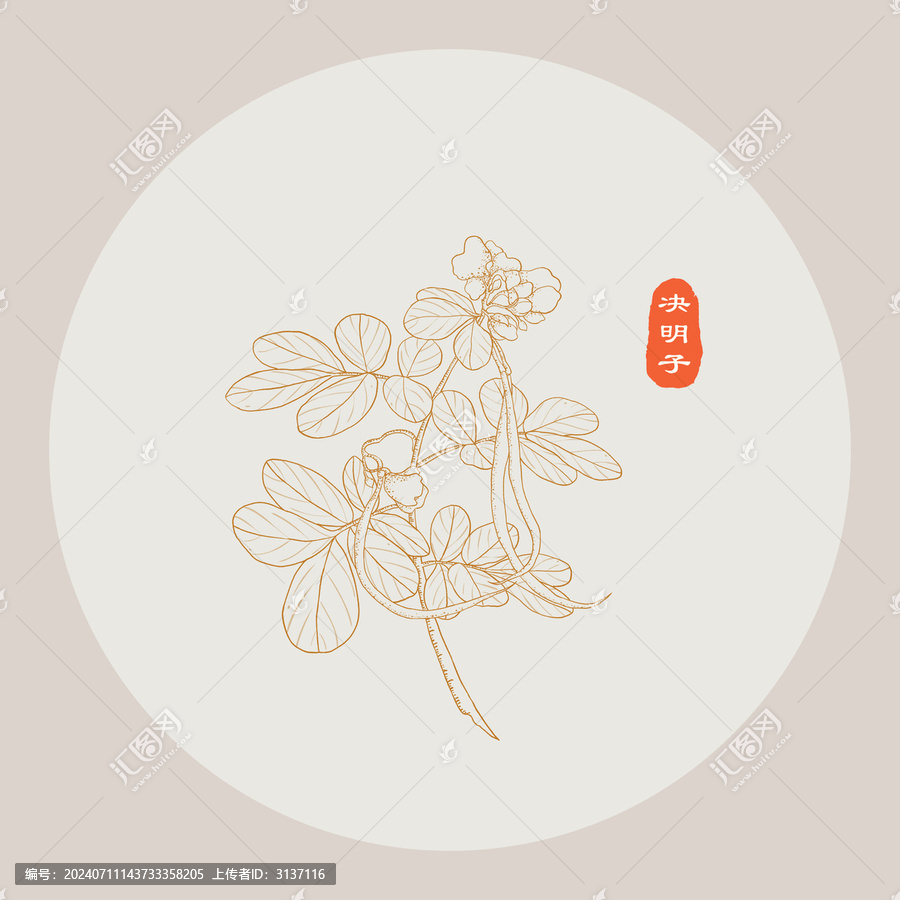 決明子線描