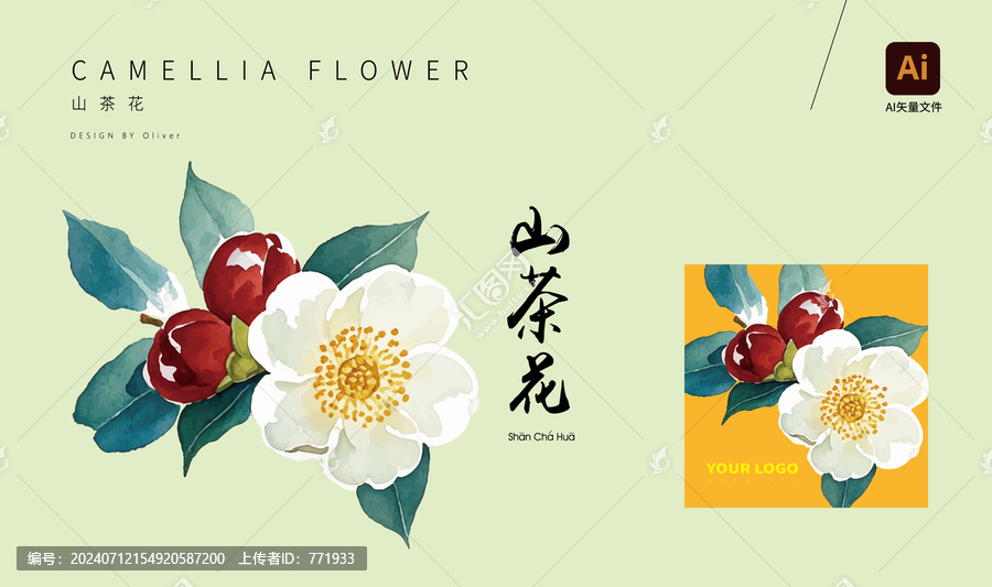山茶花山茶籽矢量文件