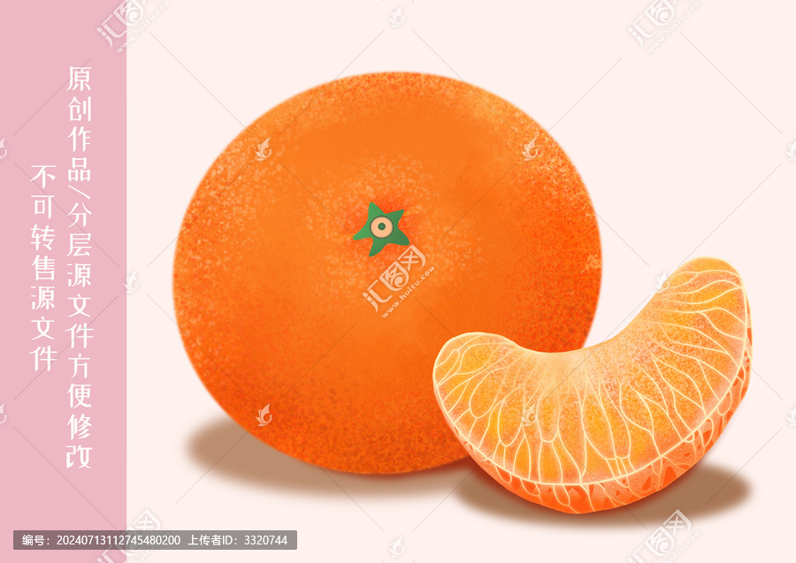 橘子插畫