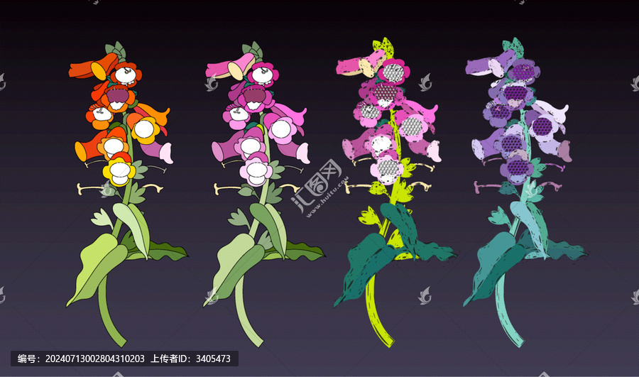 草本植物花卉毛地黃