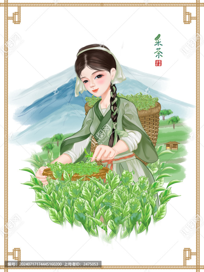采茶女
