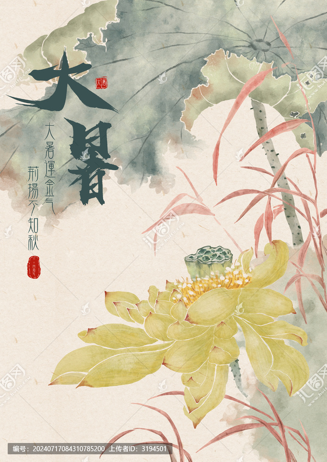 國畫24節(jié)氣大暑國華荷花插畫