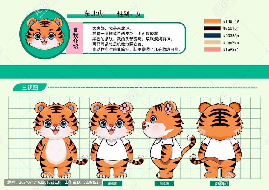 老虎三視圖