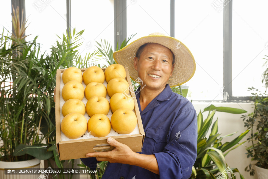 秋月梨