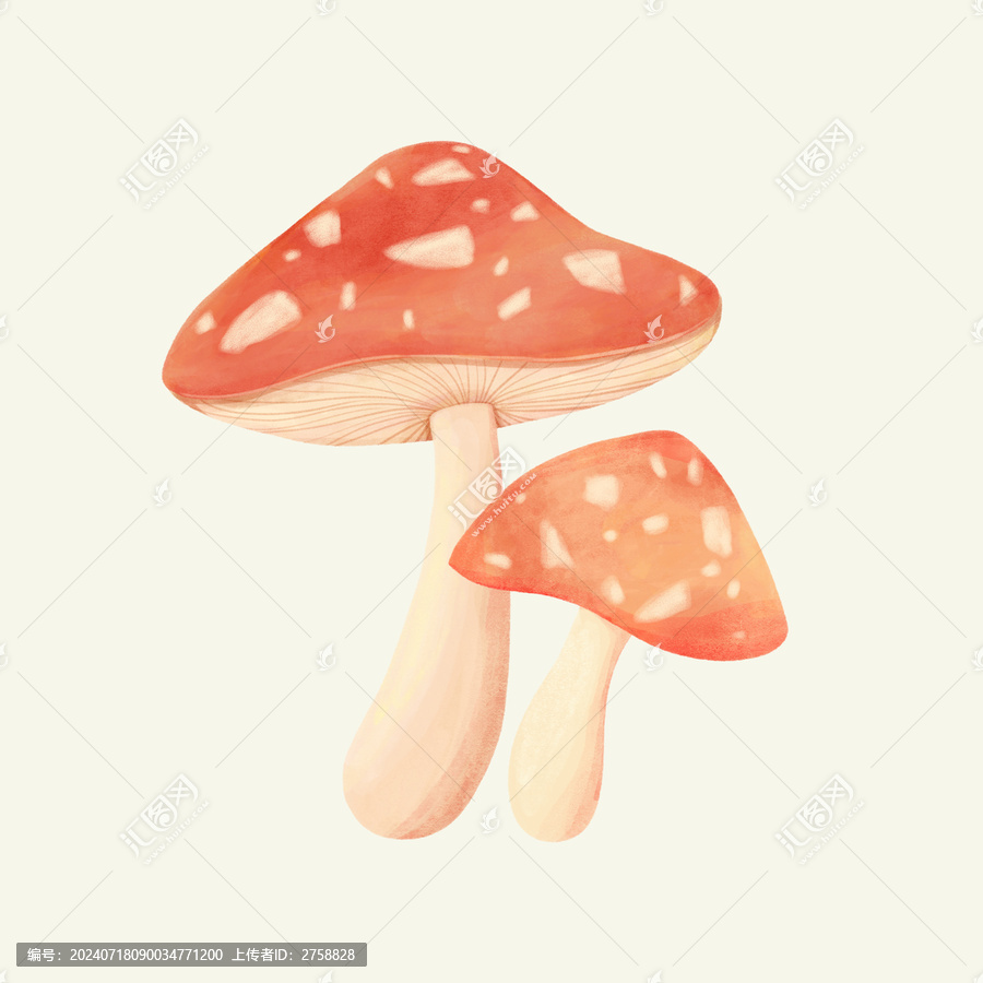 卡通蘑菇