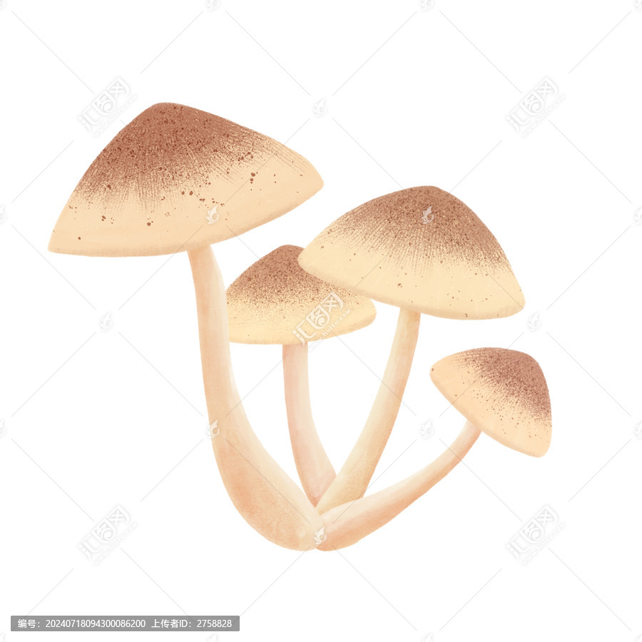 卡通蘑菇