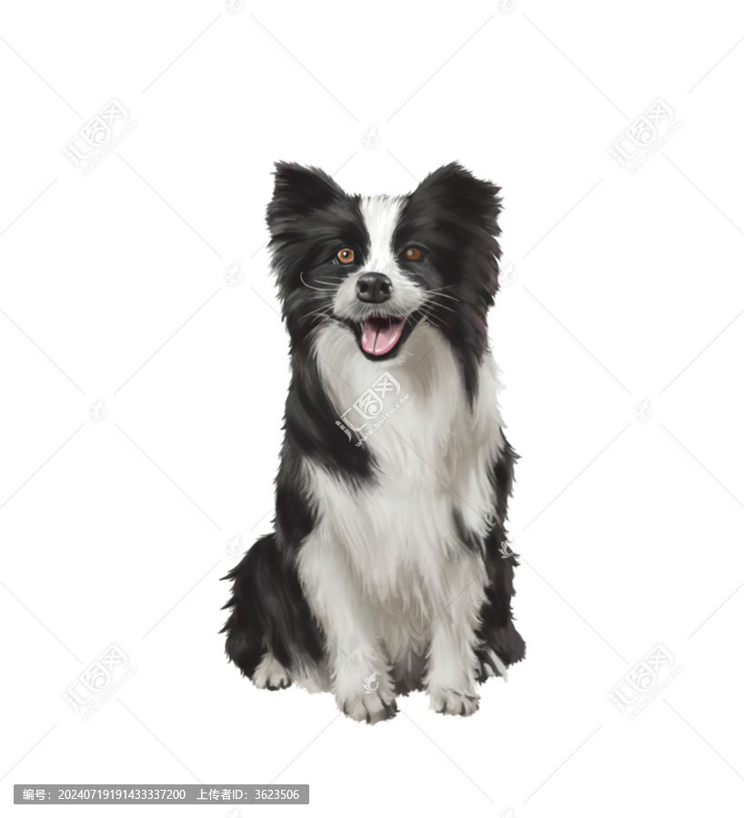 可可愛愛的家庭成員小黑狗小狗子