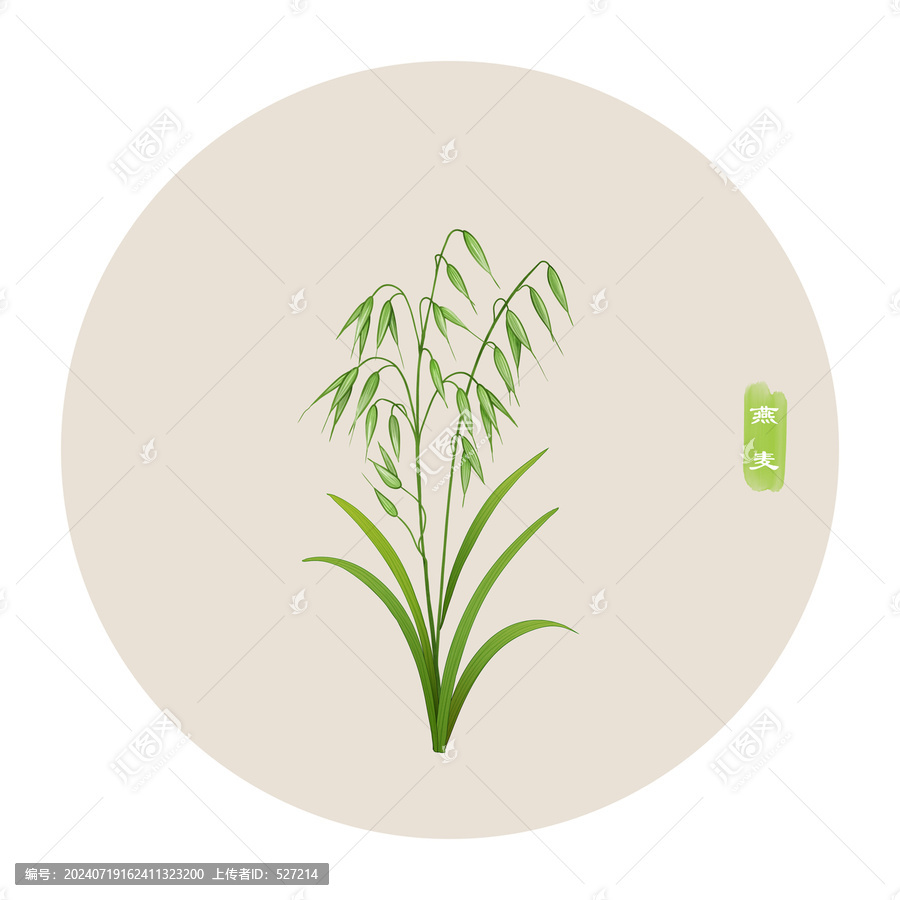 燕麥