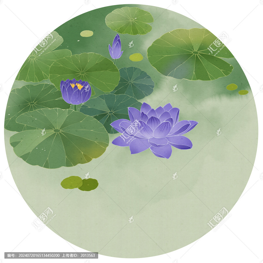睡蓮插畫