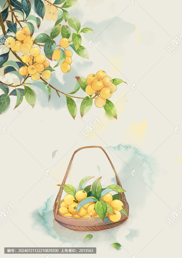 枇杷插畫