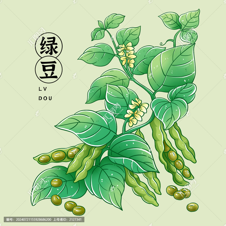 綠豆插畫