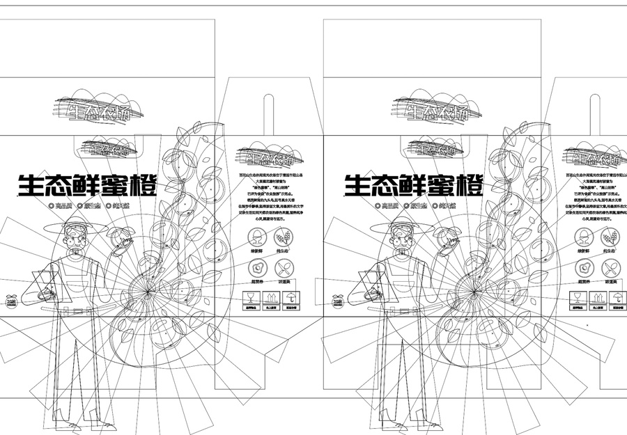 橙子包裝