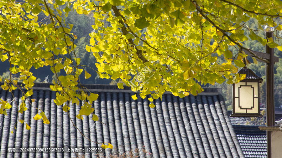 金秋八都岕田園風(fēng)光